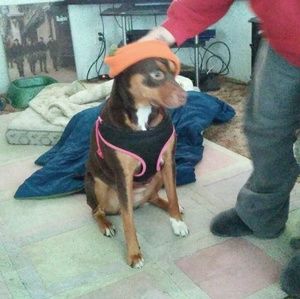 Meet your Posher, Barbara